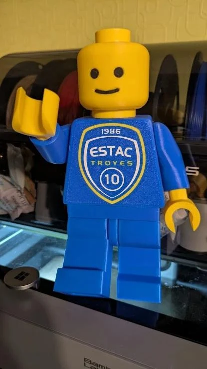 Brick-mannequin man – ESTAC Troyes – photo 2
